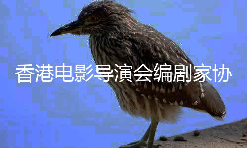 电影导演念楚会编告悼香港协会剧家原发公